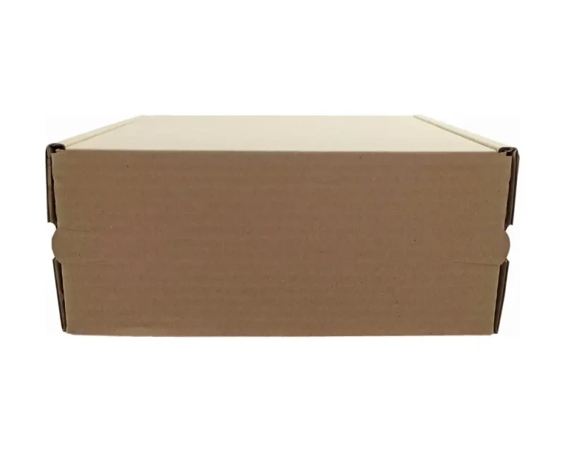 Karton fasonowy z dwoma paskami klejącymi i zrywką o wymiarach 235x200x100mm. Wykonane z szarej tektury falistej fali B o gramaturze 410 g/m². Estetyczna konstrukcja z dwoma paskami klejowymi na górnej klapie oraz zrywką, która umożliwia szybkie otwarcie.