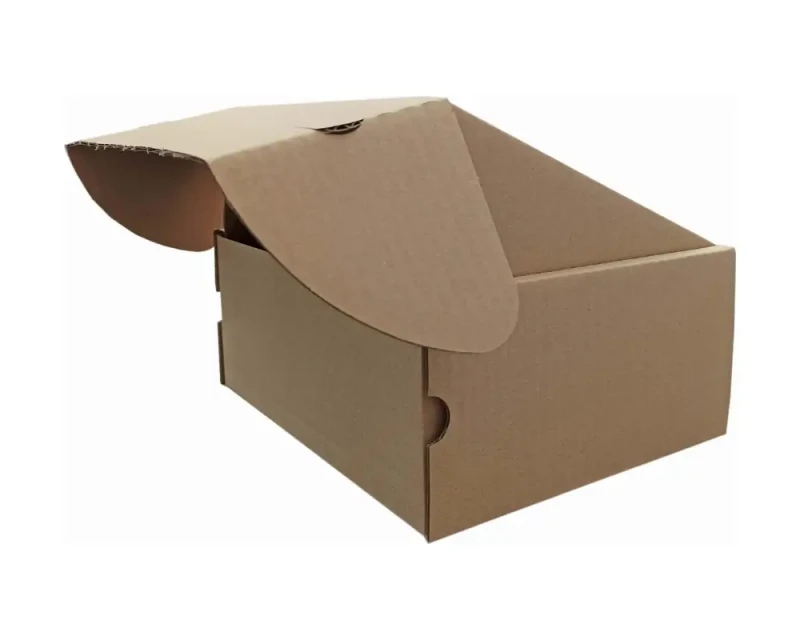 Karton fasonowy z dwoma paskami klejącymi i zrywką o wymiarach 235x200x100mm. Wykonane z szarej tektury falistej fali B o gramaturze 410 g/m². Estetyczna konstrukcja z dwoma paskami klejowymi na górnej klapie oraz zrywką, która umożliwia szybkie otwarcie.