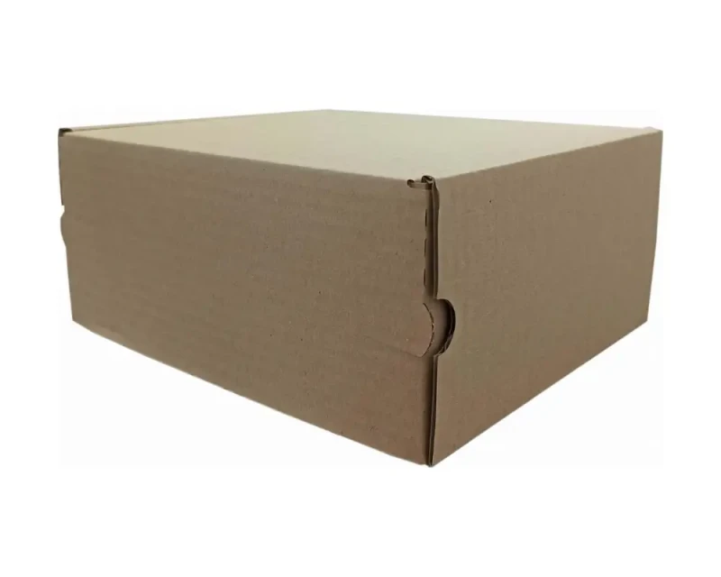 Karton fasonowy z dwoma paskami klejącymi i zrywką o wymiarach 235x200x100mm. Wykonane z szarej tektury falistej fali B o gramaturze 410 g/m². Estetyczna konstrukcja z dwoma paskami klejowymi na górnej klapie oraz zrywką, która umożliwia szybkie otwarcie.