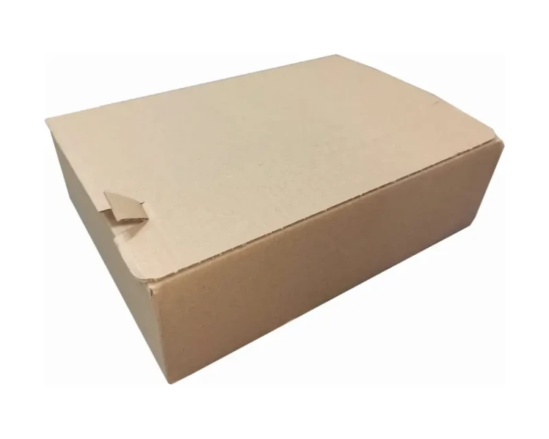 Karton o wymiarach 250x175x75mm, wykonany z szarej tektury falistej (fala B, gramatura 385 g/m²), Karton posiada automatyczne dno a na górnej klapie dwa paski hot-melt i zrywkę. Zdjęcie prezentuje nowoczesną konstrukcję.